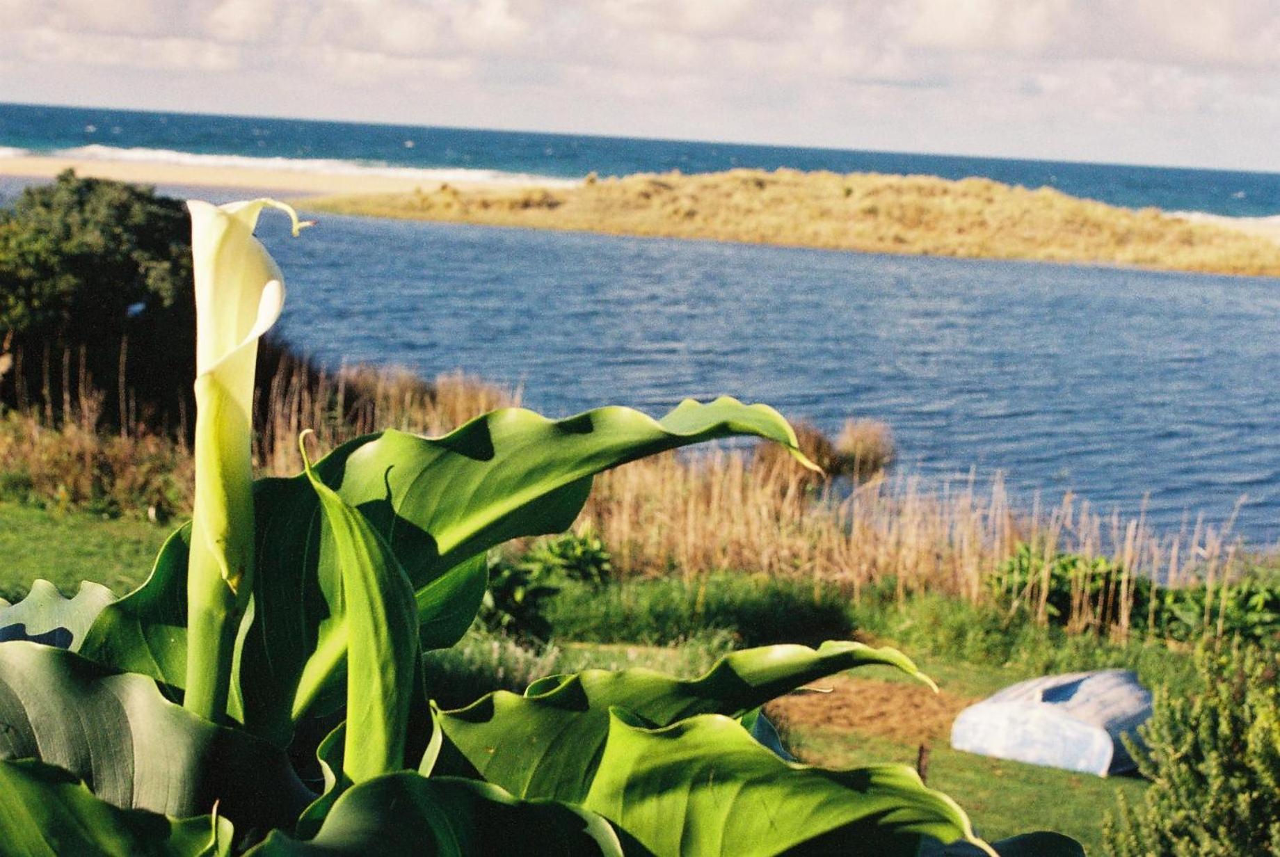 Apollo Bay Guest House Εξωτερικό φωτογραφία